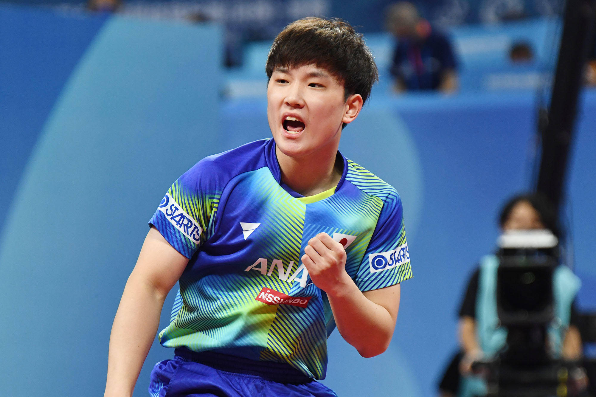 仅展示了两 仅展示了两