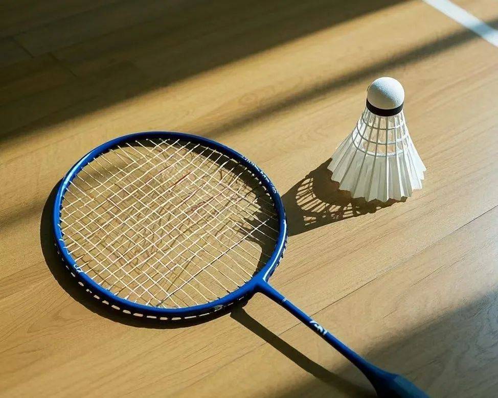 康仁也不遑 康仁也不遑