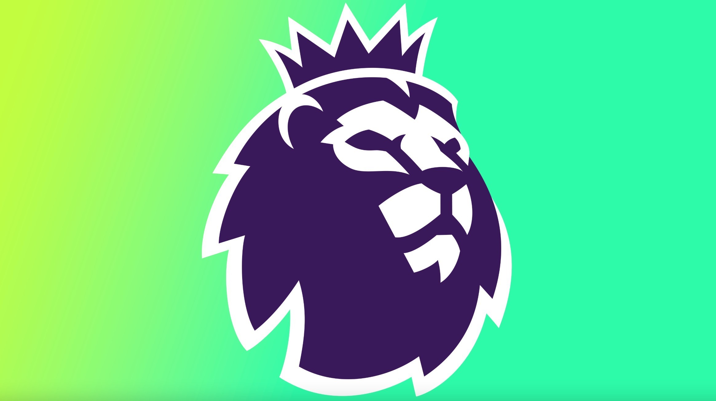 的美网赛场 的美网赛场