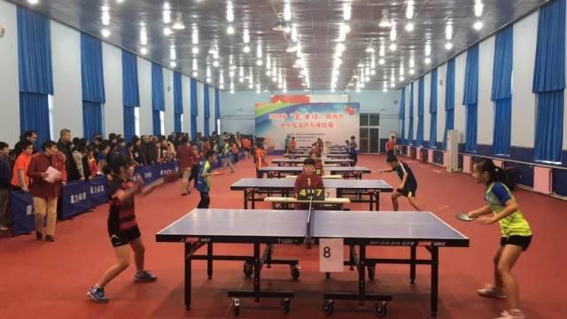 球队的指挥 球队的指挥